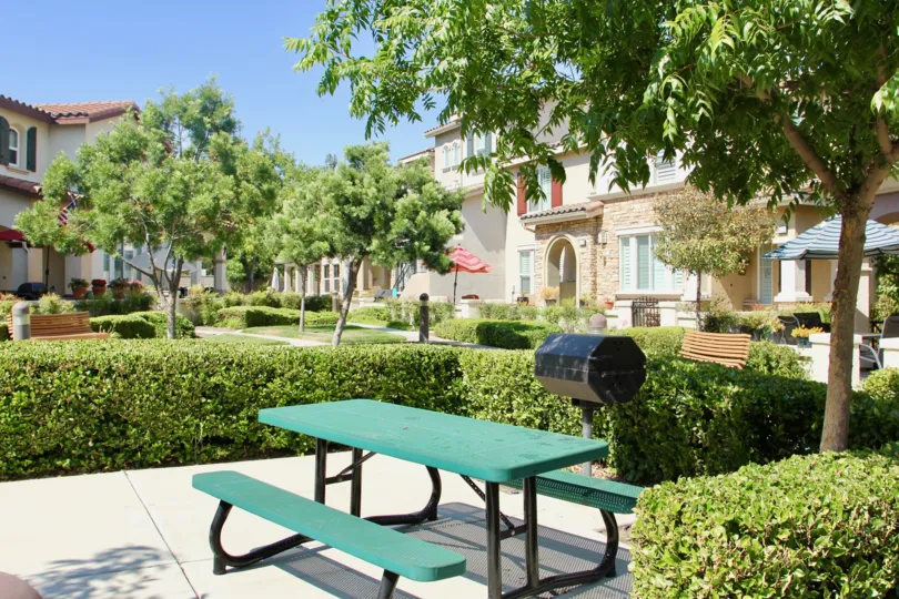 Outdoor grilling area and community area surrounded by shrubs grill trees and neighbors