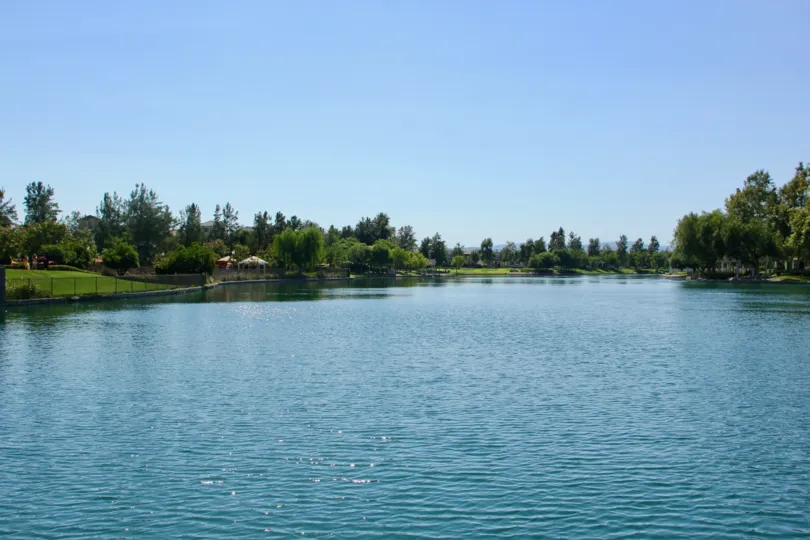 Savannah at Harveston temecula California nice waterspace surrounded by grassy green plants looks heavenly