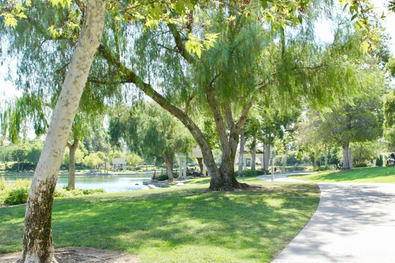 Tree-lined lake at Savannah at Harveston in Temecula, Calirornia