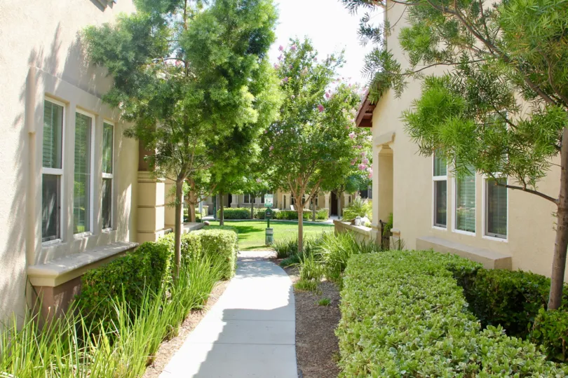 A DAY TIME WHICH IS BEAUTIFUL IN TEMECULA OF CALIFORNIA