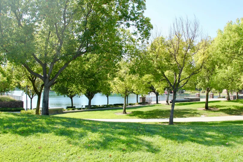 Lakeside view garden walk with grass and trees to enjoy the outdoors