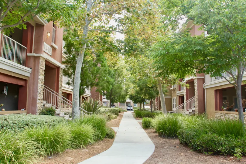 Tree lined pathways to the entrance of your condo trees grass and professional landscaping