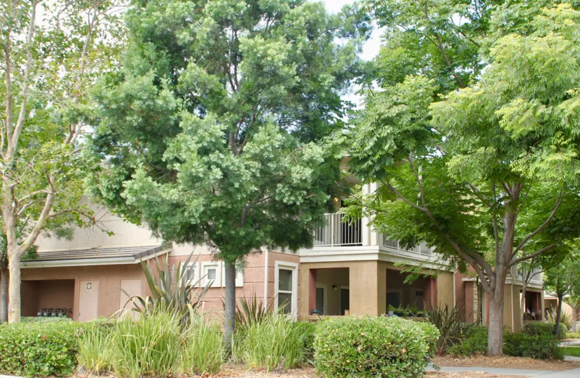 Two medium sized trees cover the balcony of a condo at Temecula Creek Village.