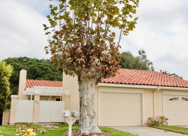 Garage and beautiful scenery at the Alta Mira Community.