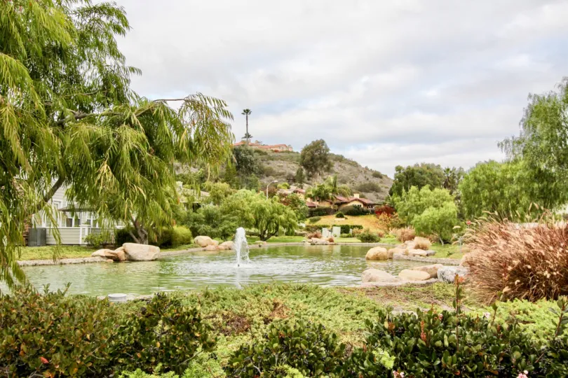 A pond with lots of pretty trees and bushes all around at Bayshore