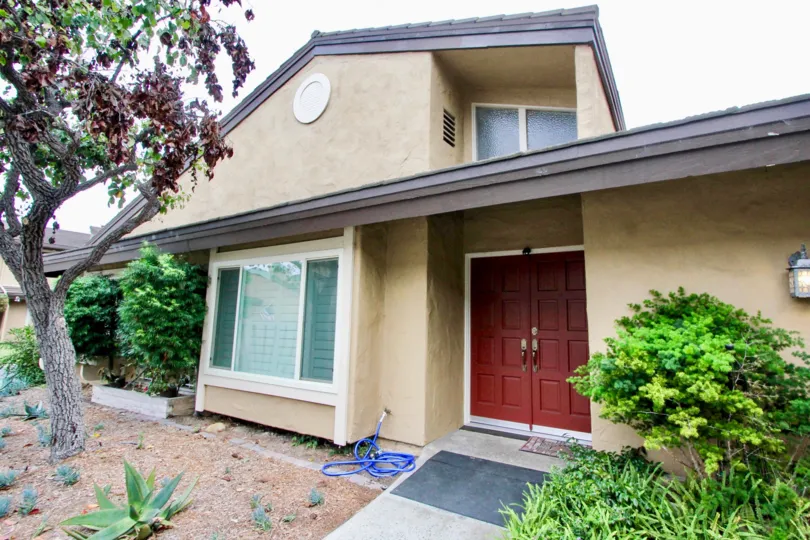 THE APARTMENT IN THE CARLSBAD PALISADES WITH THE GLASS WINDOW, PLANTS, TREES
