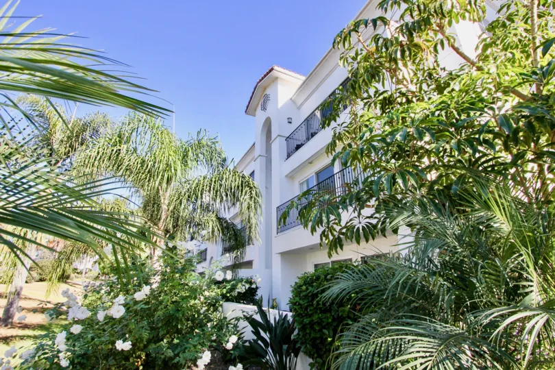Green trees with sunshine outside an apartment in Cortez Building of Carlsbad