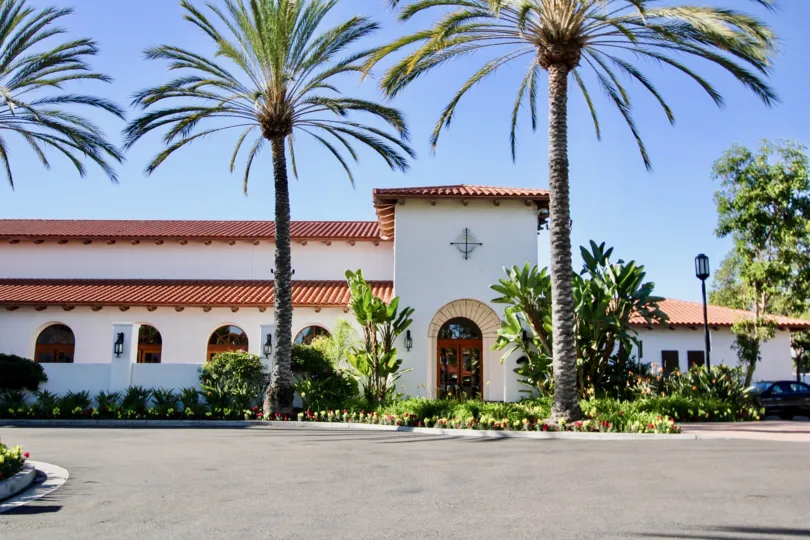 Beautiful big palm trees in a sunny California day in Carlsbad