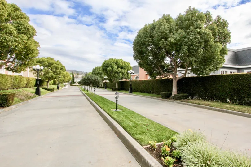 THE APARTMENT IN THE JOCKEY CLUB WITH THE TREES, PLANTS, PATHWAY