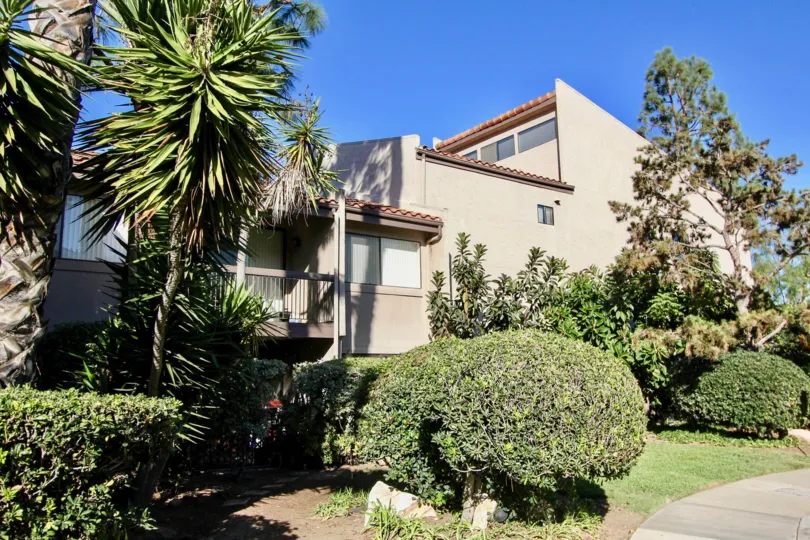 Around Green Plant in The House With Good Looking Its in Carlsbad
