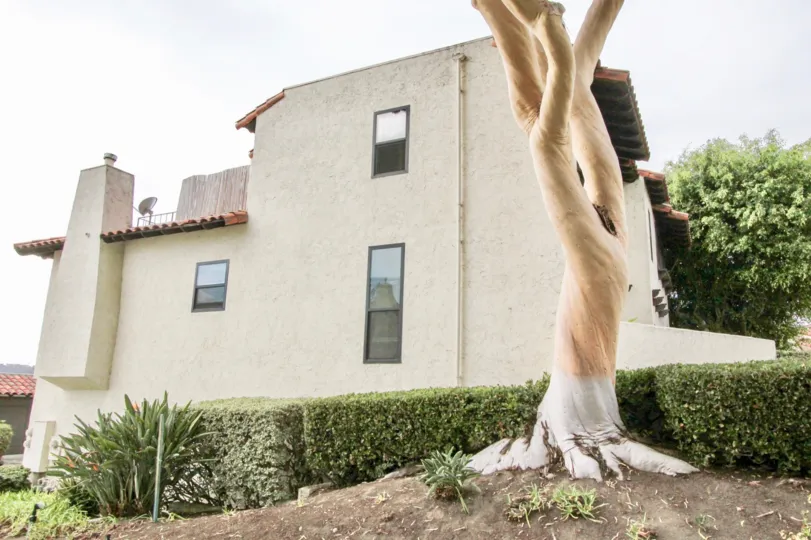 THE APARTMENT IN THE LA COSTA PACIFIC VILLAS WITH THE TREES, PLANTS, DISH ANTENNA