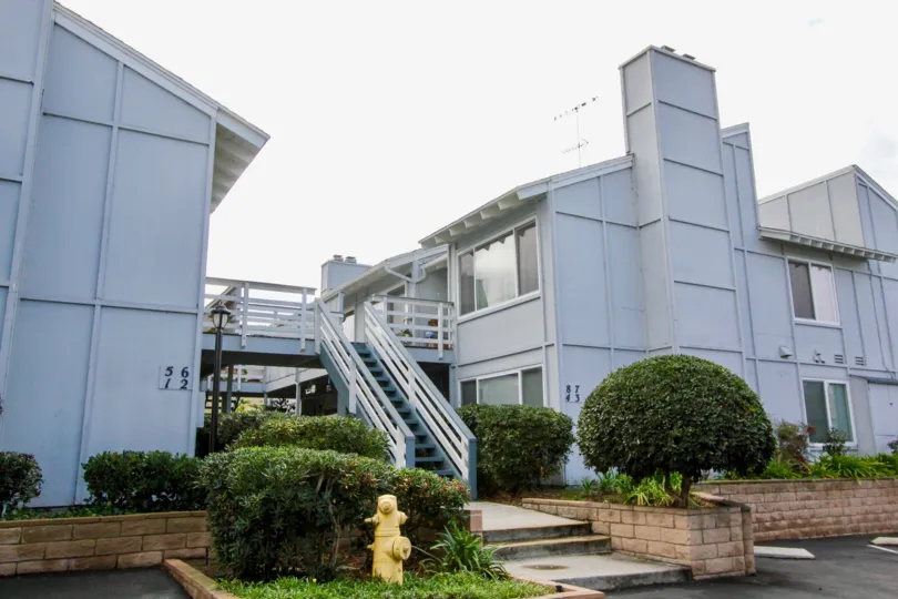 THE 51, 62 APARTMENTS IN THE LAGUNA DE LOS PATOS WITH THE UPSTAIRS, TREES, PLANTS