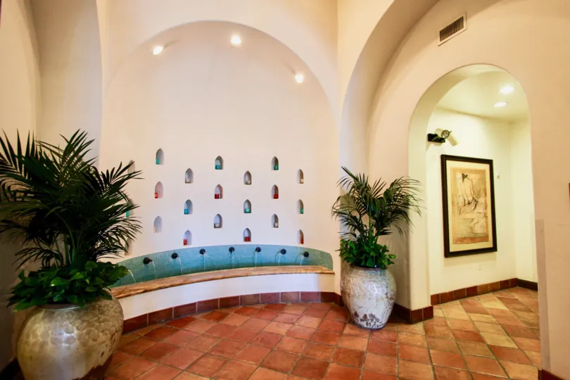 In Omni La Costa Resort & Spa, There are two flower pots and camera is fix near the photo frame