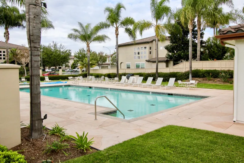 Swimming pool in Poinsettia Heights has Chairs and Dinning tables with trees and plants