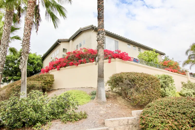 Beautiful Poinsettia Heights In Carlsbad California Country