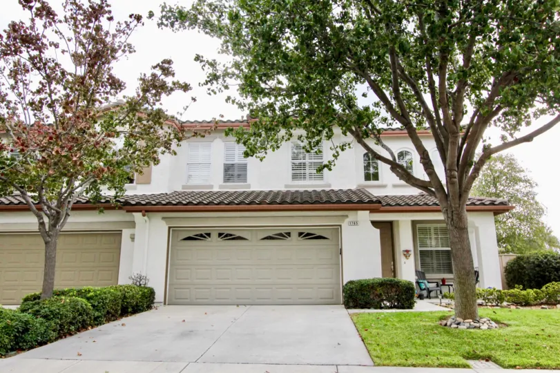 Amazing Poinsettia Heights Carlsbad California Country