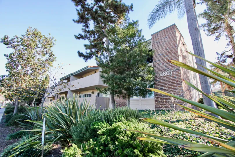 Brick Wall of Apartment in Sabrina Greens has number 2607 with long trees and bushes