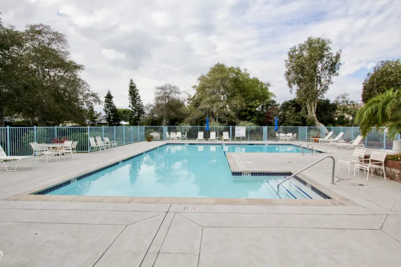 A sunny day in the Sea Cliff with a blue color swimming pool.