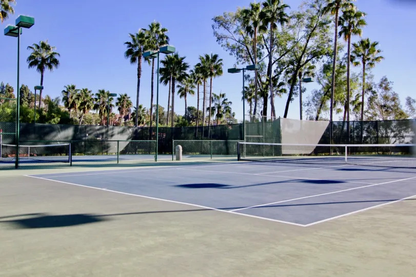 Beautiful Tennis Court with sunshine and trees in Sea Point Tennis Club of Carlsbad