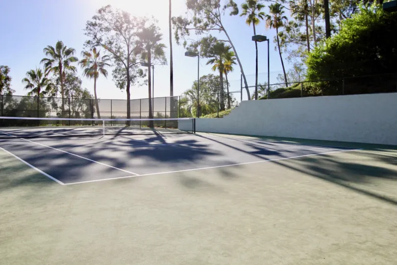 A sunny day in the Sea Point Tennis Club with a tennis court.