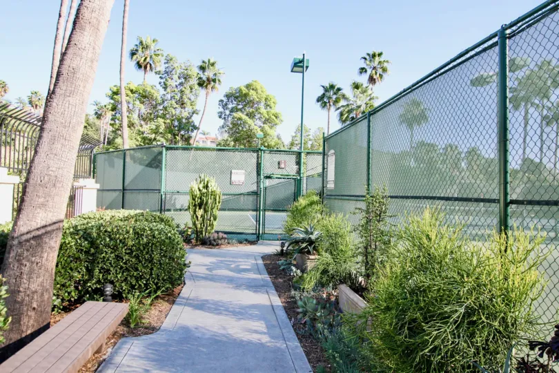 A beautiful day in the Sea Point Tennis Club with a tennis court and gate.