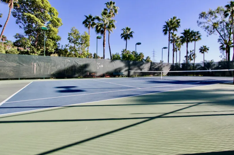 A great sunny day in the Sea Point Tennis Club with a tennis court and trees.