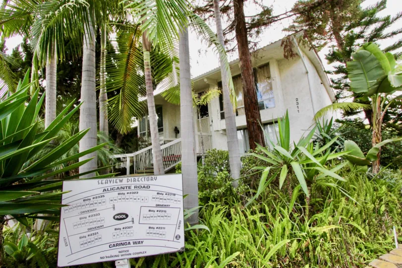 Fantastic greenar with palm trees near a villa in Sea View of Carlsbad