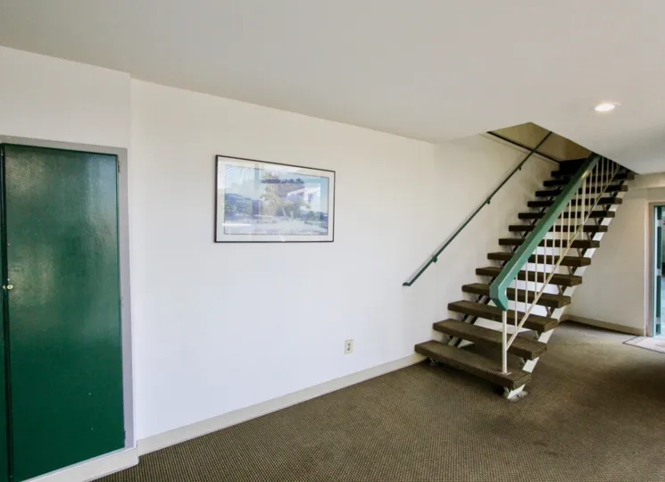 Lower level of home. White walls, brown carpet, green door and staircase rails.