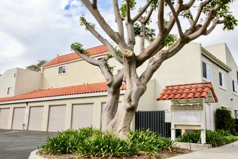 Amazing West Bluff Hills In Carlsbad California Country