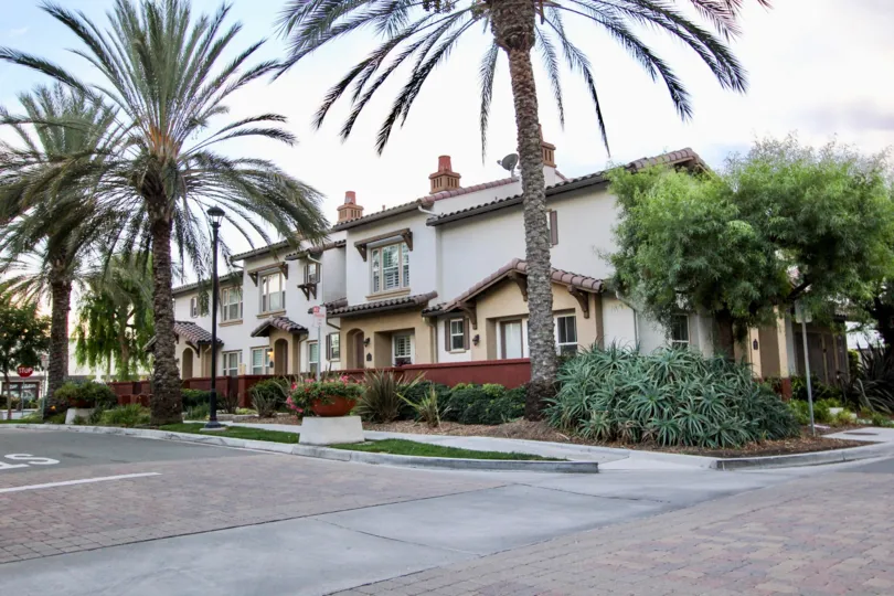Large, fanned palm trees sit in a garden area at Agave condos