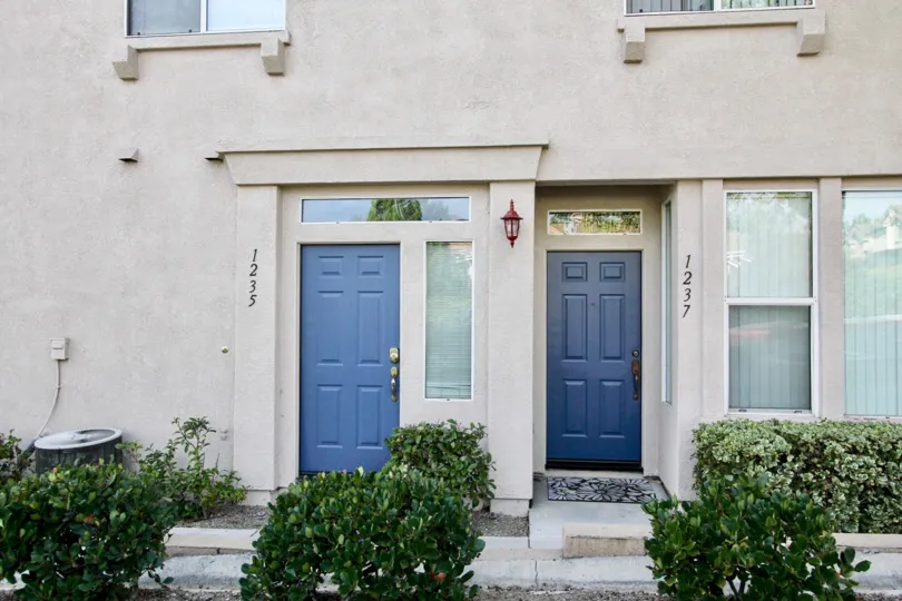THE HOUSE IN THE BOLERO WITH THE PLANTS, DOOR, LAMP, WINDOW