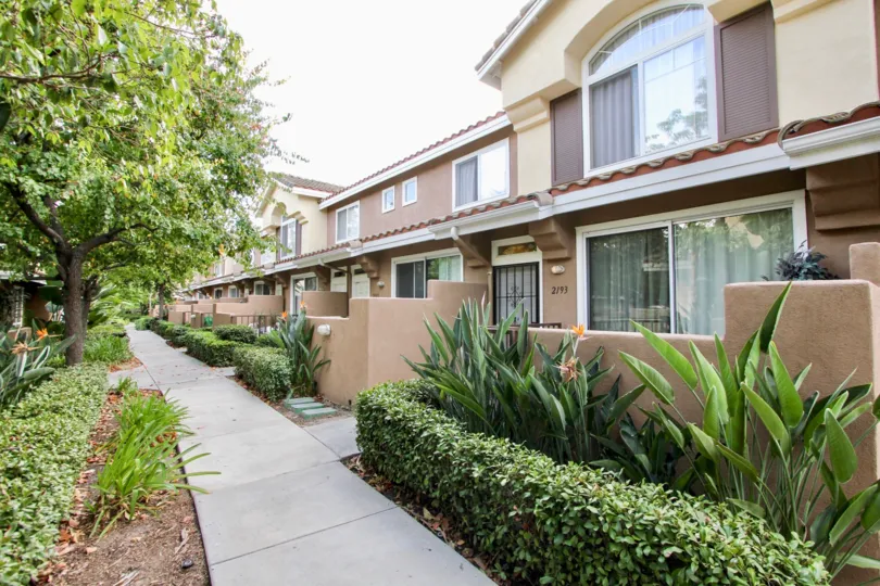 A sidewalk with shrubbery runs along two story townhouses.