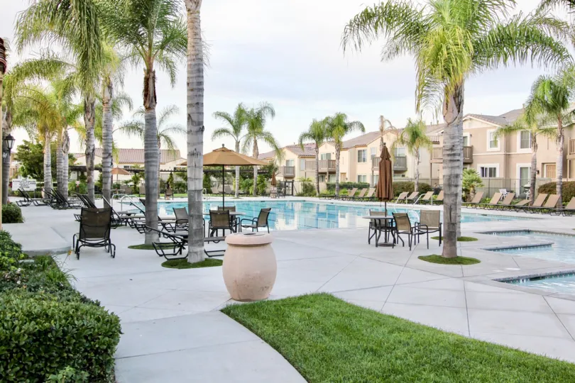 Gigantic private swimming pool with large pool deck surrounded by palm trees in Capria