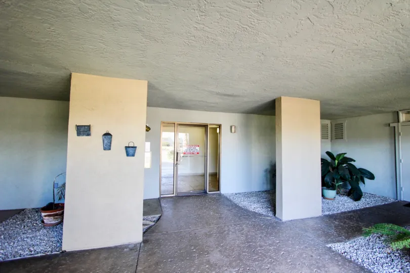 THE APARTMENT IN THE CHULA VISTA TERRACE WITH BUCKETS, FLOWER POT, PLANT