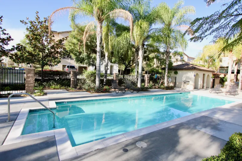 Two dark lounge chairs sit in the shade of palm trees at Clover condos