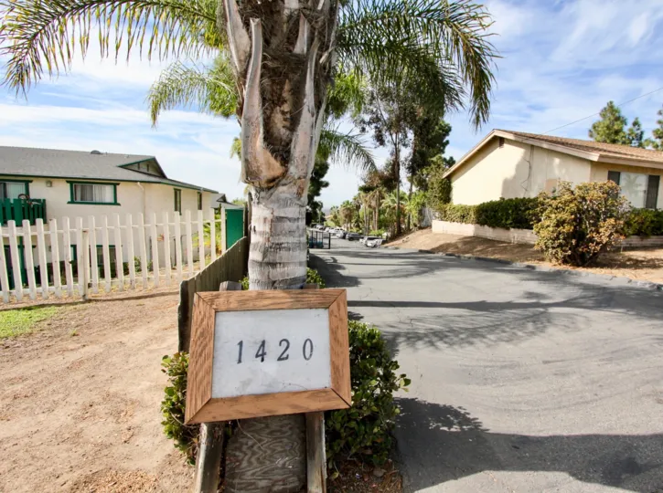 The sign in front of 1420 Holiday estates is held by a palm tree and next to the driveway in Vhika Vista