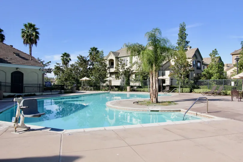 A sunny day poolside in the area of Mer Soeill, palm trees, fence, pool, chair, ladder, deck