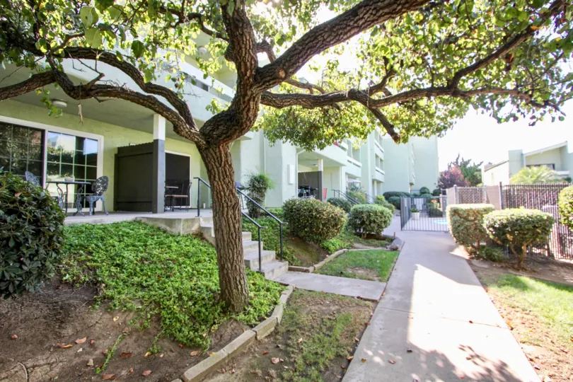 THE APARTMENT IN THE MISSION GARDENS WITH THE TABLES, GRASSES, PLANTS, TREES, GATE