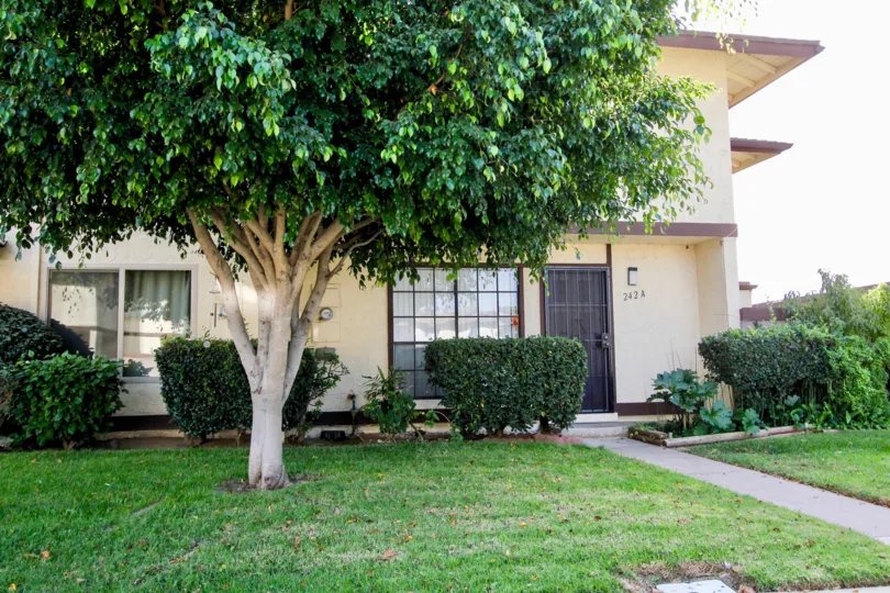 Stunning greenery at Rancho Rios in Chula Vista, CA