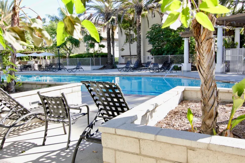 THE APARTMENT IN THE SAGUARO WITH THE SWIMMING POOL, CHAIRS, BANANA TREES