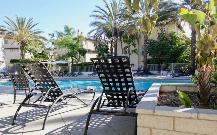 Large palm trees and black lounge chairs surround a large pool at the Saguaro community of Chula Vista, California.