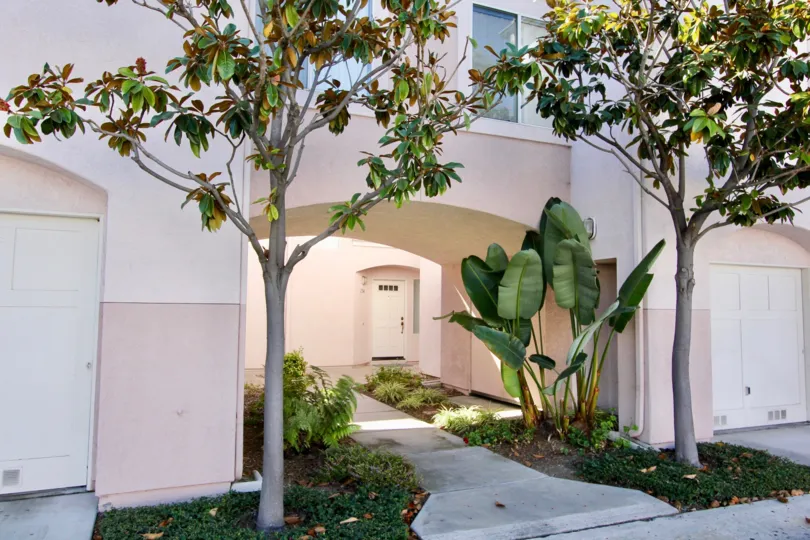 THE BUNGALOW IN THE SANIBELLE WITH THE BANANA TREE, PLANTS, TREES, WINDOW