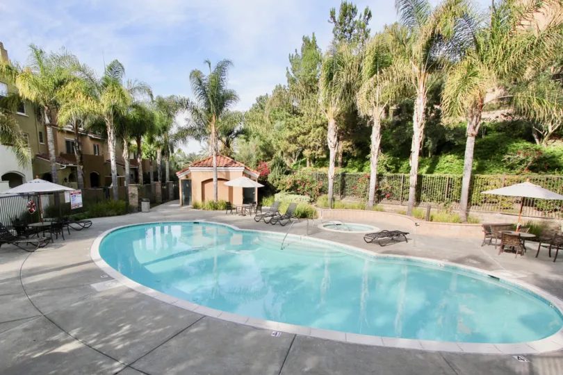 A Sunny day with a swimming pool and palm trees in Sedona