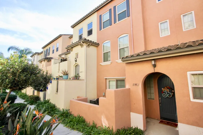 A sunny day in the area of Stetson, outside, flowers, condos, door, window, tree, potted plants
