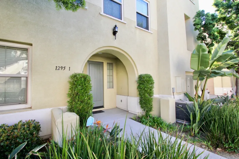 THE 12951 APARTMENT IN THE STETSON WITH THE BANANA TREE, PLANTS, GRASSES