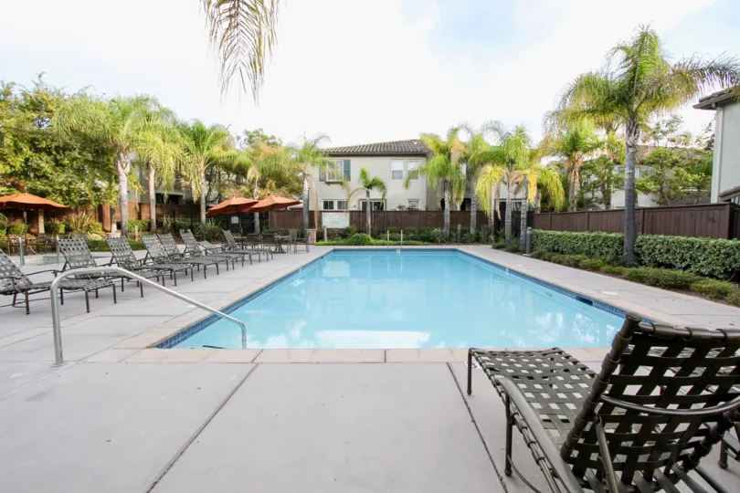 Sunny day in front of pool with chairs, Trees & Fences, Chula Vista, CA