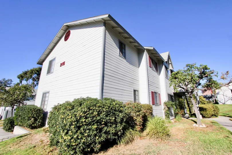 A APT. 215 IN THE SUMMERWIND WITH THE GRASSLAND, TREES, PLANTS