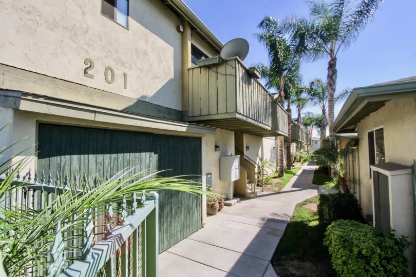 A palm-lined walkway through a Twin Oaks apartment complex