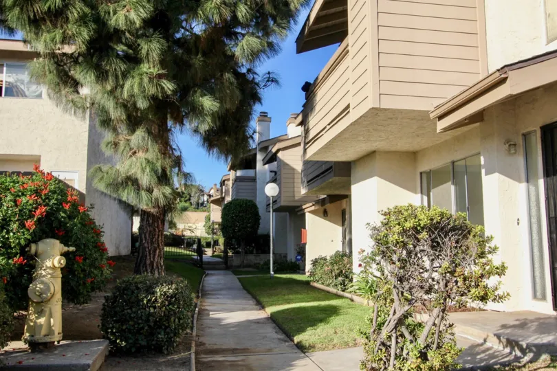 Blue Sky with a Tree and Walkway in the Woodside Village Community in Chula Vista, CA.