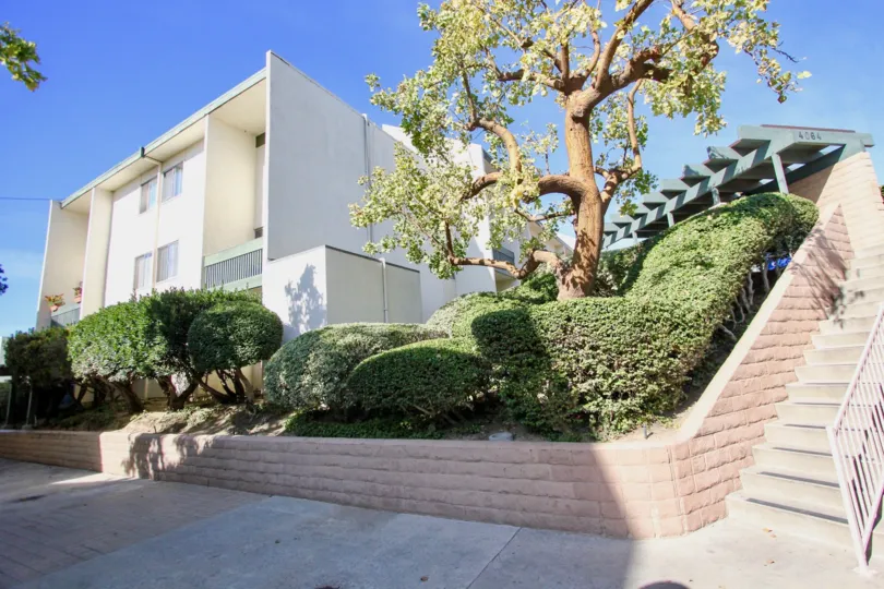 Bay Ho  ,Clairemont Mesa ,: California.blue sky,tree